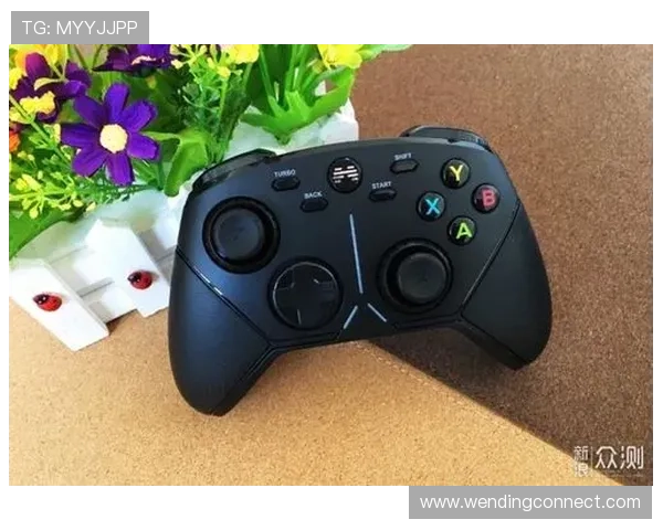 问鼎娱乐电子游戏下载：畅享最新最全的游戏资源尽在掌握