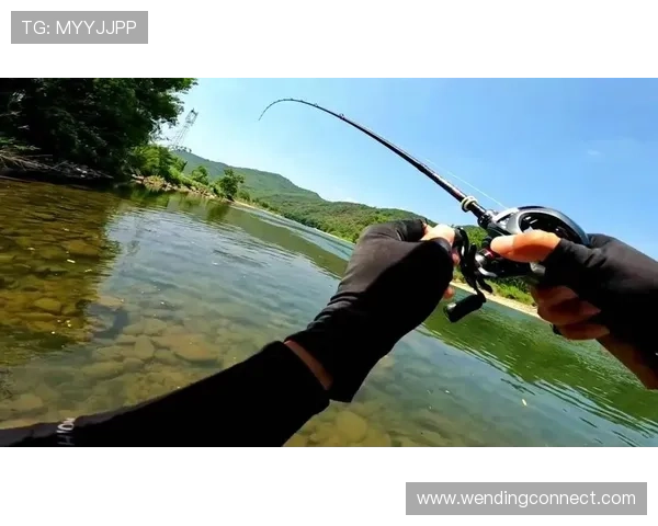 问鼎登录入口的官方验证方式及防止钓鱼诈骗的实用技巧