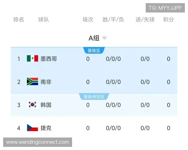 南非世界杯韩国球队身价变化：影响球队表现的市场价值因素全面解读